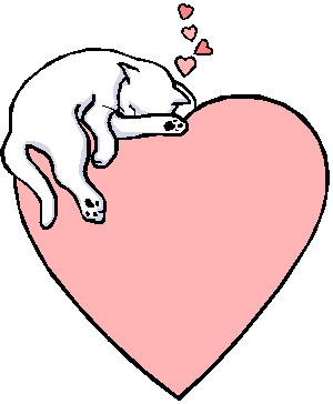 aaaaa l'amour